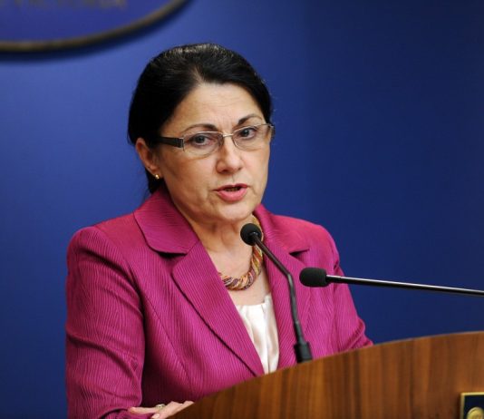 Ecaterina Andronescu: “Ar fi trist pentru Curtea Constitutionala ca presiunea strazii sa-i influenteze decizia”