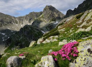 Retezat – cum sa nu te indragostesti de ei?