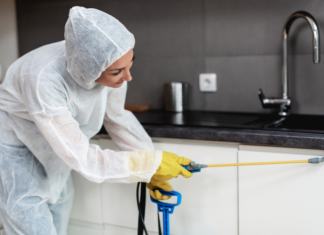 Ce trebuie să afli despre deratizarea în unitățile gastronomice?