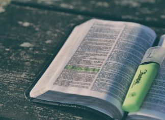 480 Citate Celebre Care iti vor schimba viata