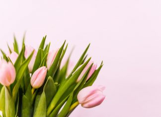 102 Mesaje De 1 Martie