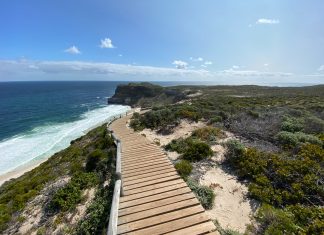 141 Mesaje De Buna Dimineata Noi