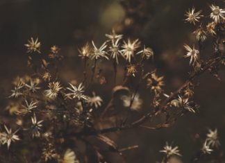 241 Mesaje De Condoleante