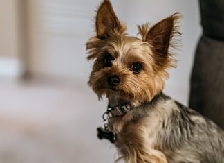 328 Citate Scurte care sa te inspire in fiecare zi