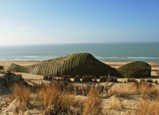 Arta ecologica – Importanta schimbarilor climatice