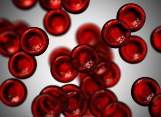 Ce este hemoglobina?