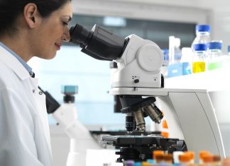 Terapia cu celule stem: Utilizari, riscuri, cum functioneaza